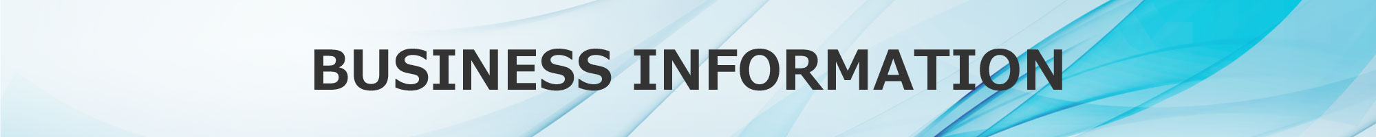 BUSINESS INFORMATION