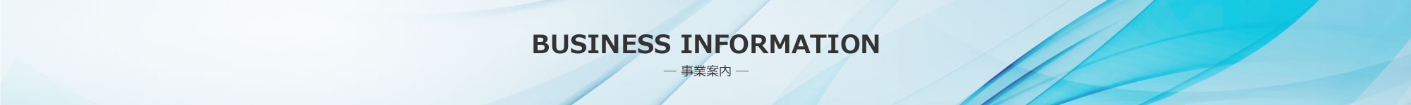 BUSINESS INFORMATION