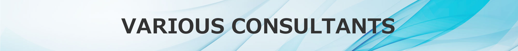 VARIOUS CONSULTANTS