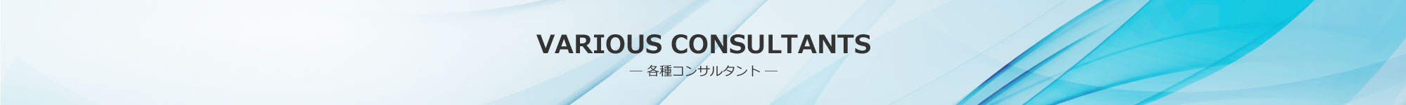 VARIOUS CONSULTANTS