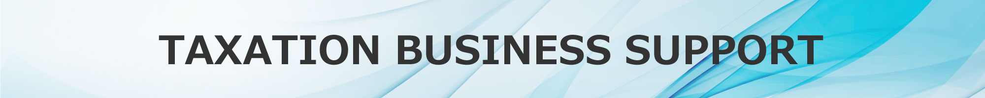 TAXATION BUSINESS SUPPORT